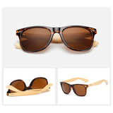 Sunglasses for Men