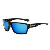 Sunglasses Men's